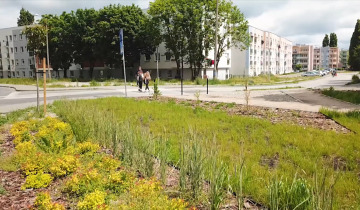 Czekają na wnioski 12.04.2024