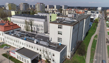 Dyrektor poszukiwany 10.07.2024