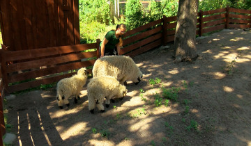 Nowi mieszkańcy Zoo 16.08.2024