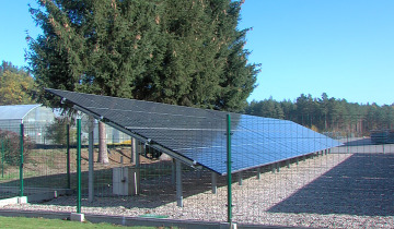 Las energii 25.10.2024