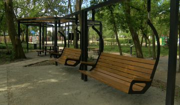 Zieleń w Toruniu 02.05.2025