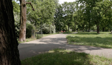 Bandyta zatrzymany 12.06.2025