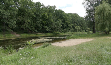 Martówka wysycha 28.07.2025