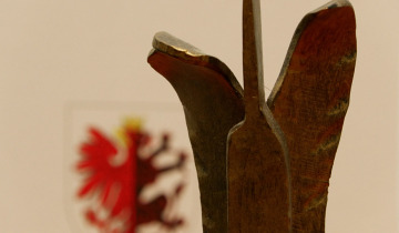 Wnioski o Stalowe Anioły 31.07.2025