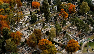 Czas tradycji.Czas refleksji. 31.10.2025