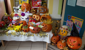 Dynie na wystawie 31.10.2025