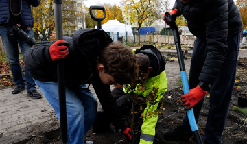 Kolejny las Miyawaki 05.11.2025