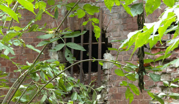 W trosce o fort 12.11.2025