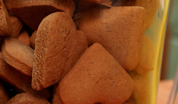 Festiwal Piernika 17.11.2025