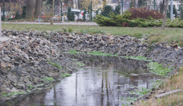 Wyjaśniają przyczyny śmierci 20.11.2025