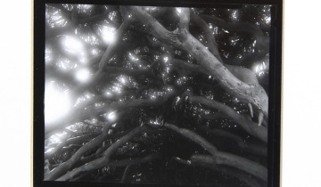 Czas natury w Wozowni 25.11.2025