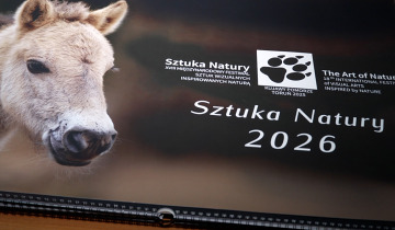 Sztuka Natury 27.11.2025