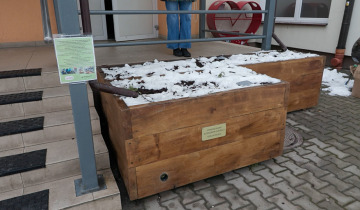 Deszczowy ogródek 03.12.2025