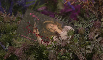 Ogród z płytą 04.12.2025