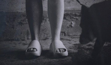 Zdjęcie roku Pomorza i Kujaw 17.12.2025