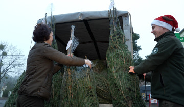Choinka dla życia 23.12.2025