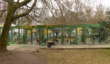 Zadbajmy o zwierzęta 30.12.2025