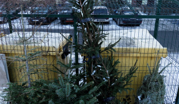 Choinki do recyklingu 09.01.2026