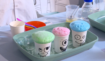 Ferie w Toruniu 22.01.2026