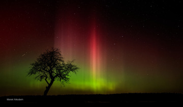 Radioteleskop 04.02.2026