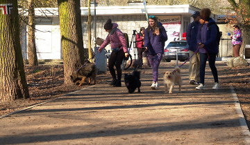 Walk the Dog 18.03.2026