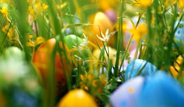 Życzenia Wielkanocne 04.04.2026