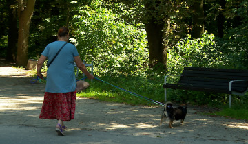 Zwierzęta w podróży 05.08.2026
