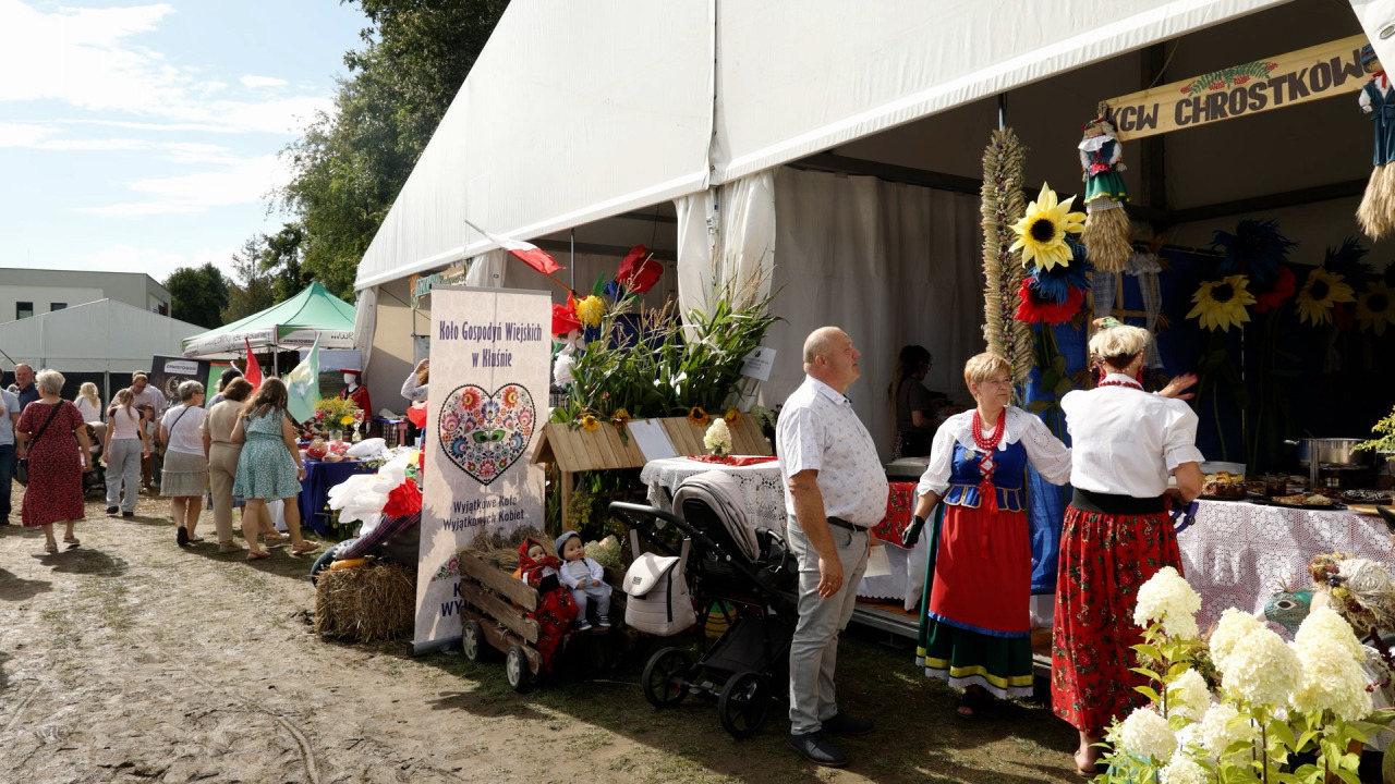 Kujawsko-Pomorskie Święto Plonów