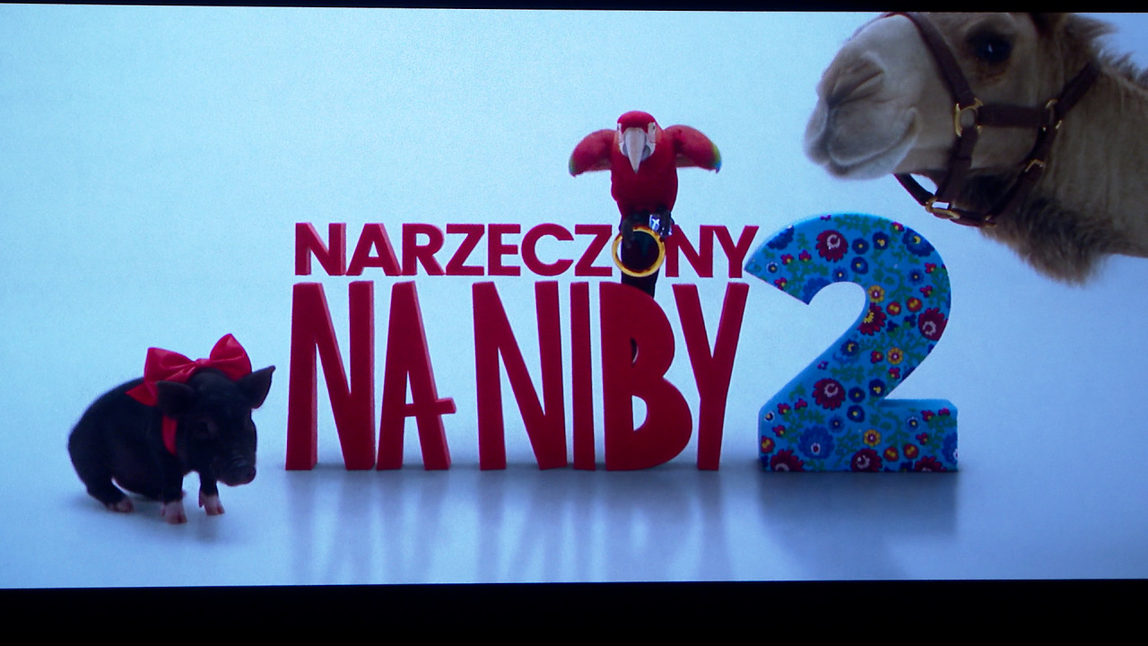 Narzeczony na niby