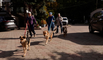 Adoptuj zwierzaka 16.10.2026